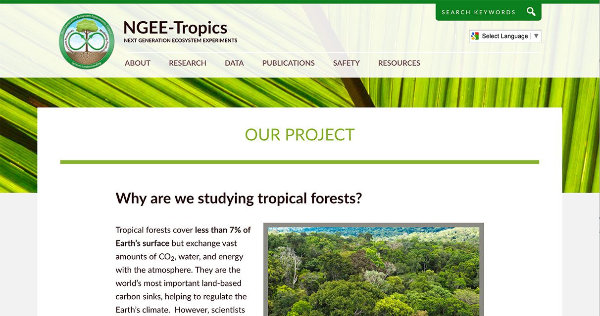 Screenshot of the NGEE-Tropics website showing a section titled “OUR PROJECT” with text explaining why tropical forests are studied, and an image of dense green tropical forest.