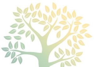 Stylized illustration of a tree with spreading branches and many leaves. The colors transition smoothly from green at the lower left to yellow at the upper right, creating a soft, gradient effect.