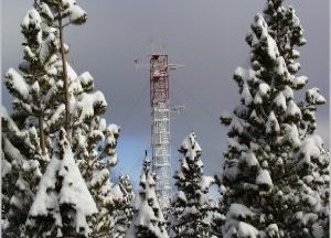 A red and white communication tower rises above pine trees covered in snow, set against a cloudy gray sky.