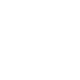 Custom WordPress Website icon